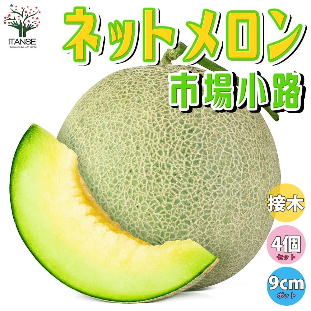 ２分割 ウッドスプリング ドイツ製 Melonメロン  セミダブル RELAX2000・ウッドスプリングシステム | Relax社天然ウッド
